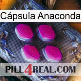 Cápsula Anaconda 02